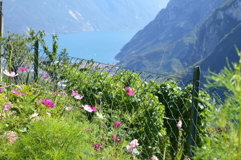 Casa Furletti Holiday Home Tenno Buitenkant foto
